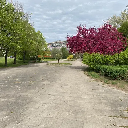 Sunny Seaside In Area Close To Pet Friendly Danzig
