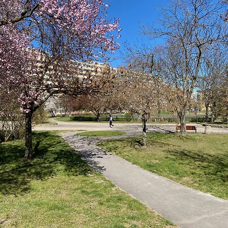 Sunny Seaside In Area Close To Pet Friendly Apartment *
