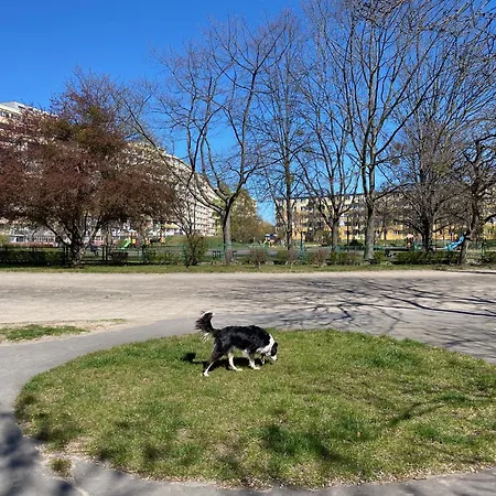 Sunny Seaside In Area Close To Pet Friendly Apartment *
