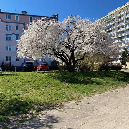 Apartment Sunny Seaside In Area Close To Pet Friendly